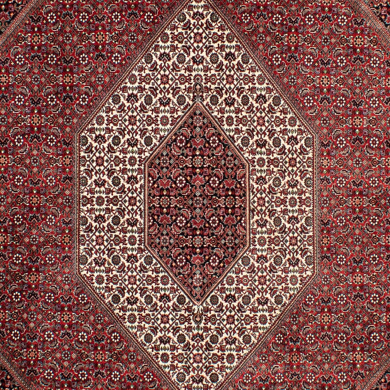 Persisk tæppe - Bijar - 298 x 200 cm - mørkerød