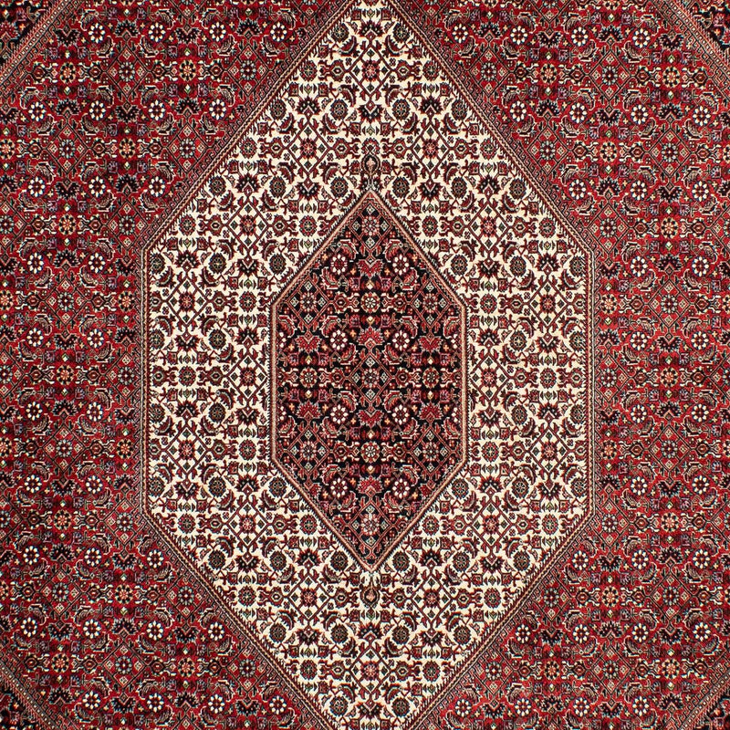 Persisk tæppe - Bijar - 298 x 200 cm - mørkerød