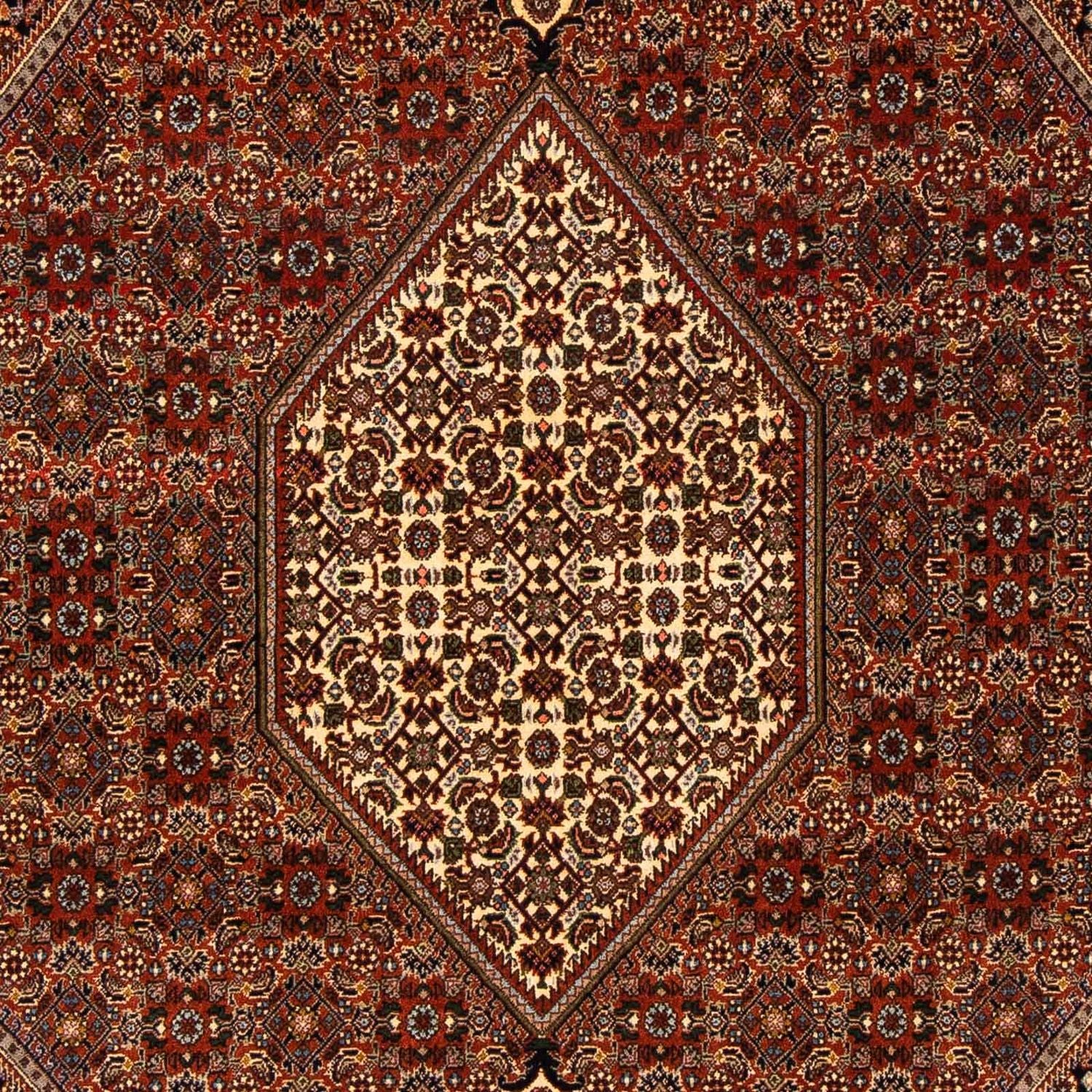 Persisk tæppe - Bijar - 274 x 171 cm - brun