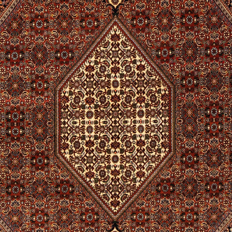 Persisk tæppe - Bijar - 274 x 171 cm - brun