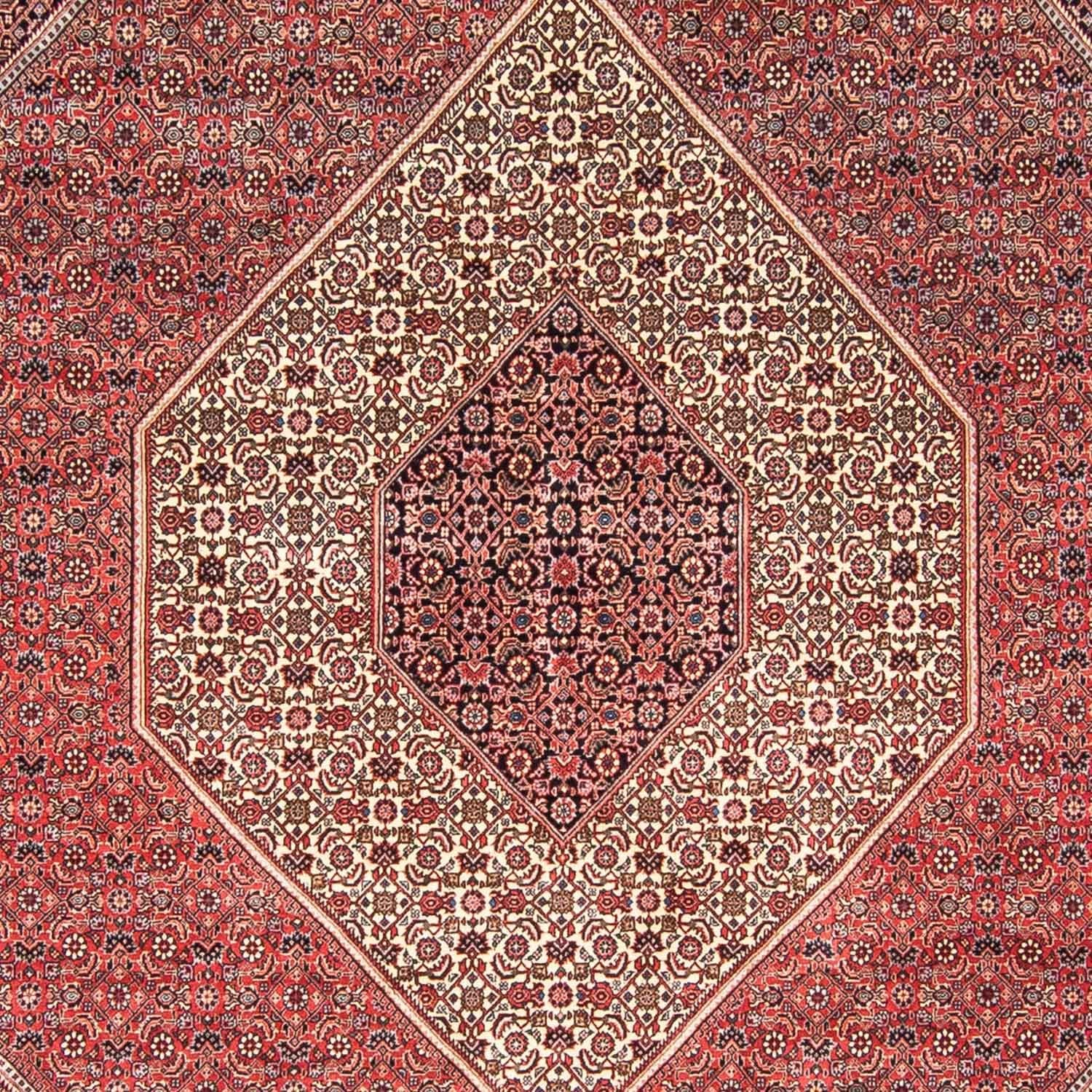 Persisk tæppe - Bijar - 348 x 252 cm - mørkerød