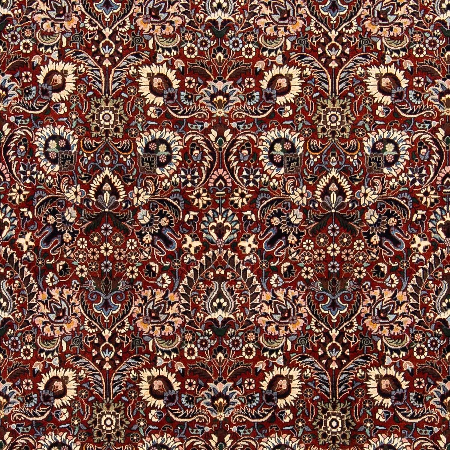 Persisk tæppe - Bijar - 248 x 170 cm - brun