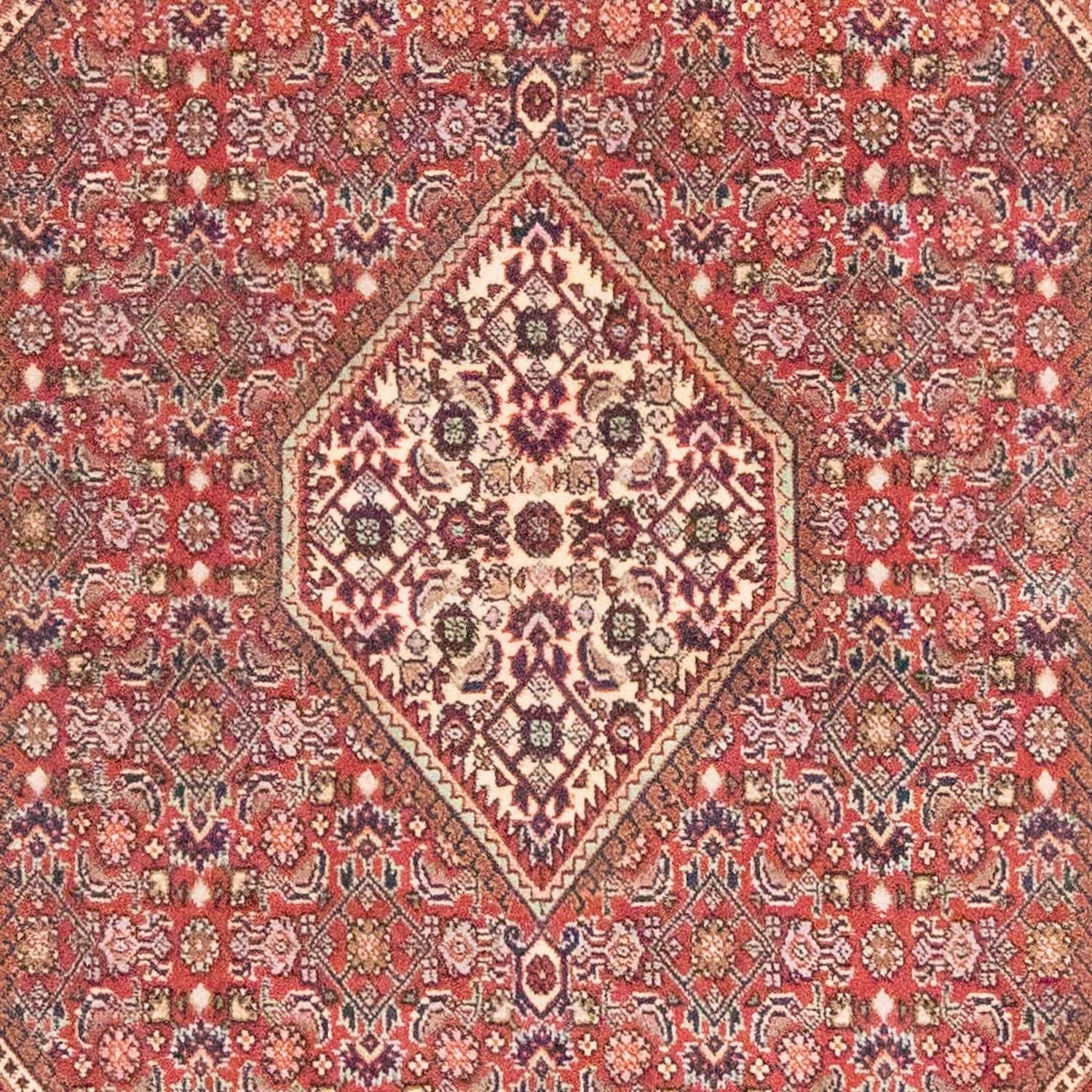 Persisk tæppe - Bijar - 184 x 108 cm - rust