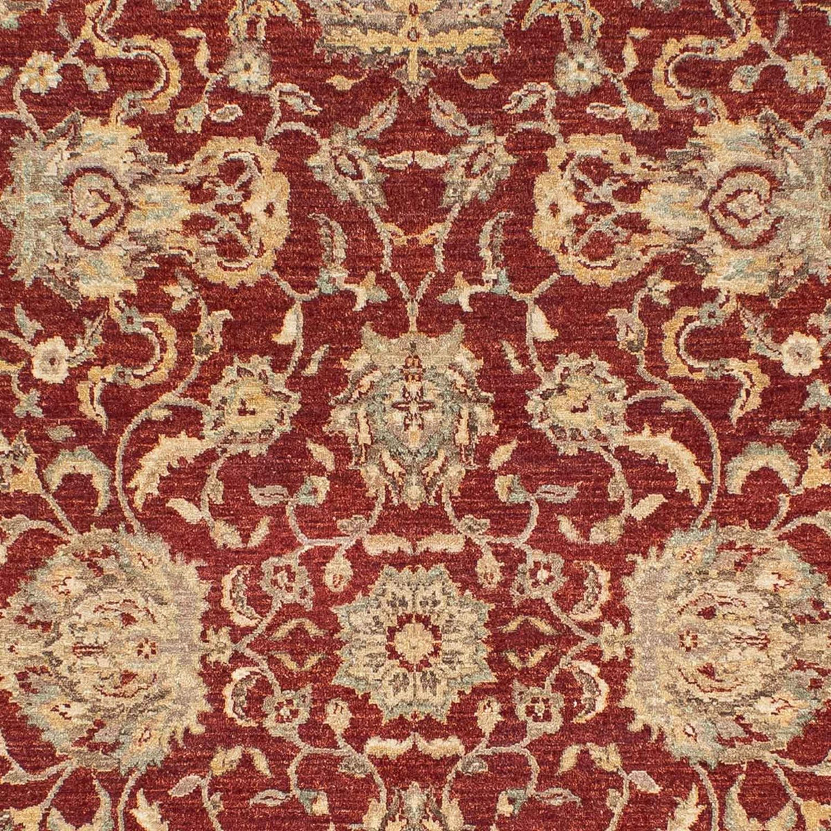 Ziegler Carpet - 269 x 177 cm - mørkerød