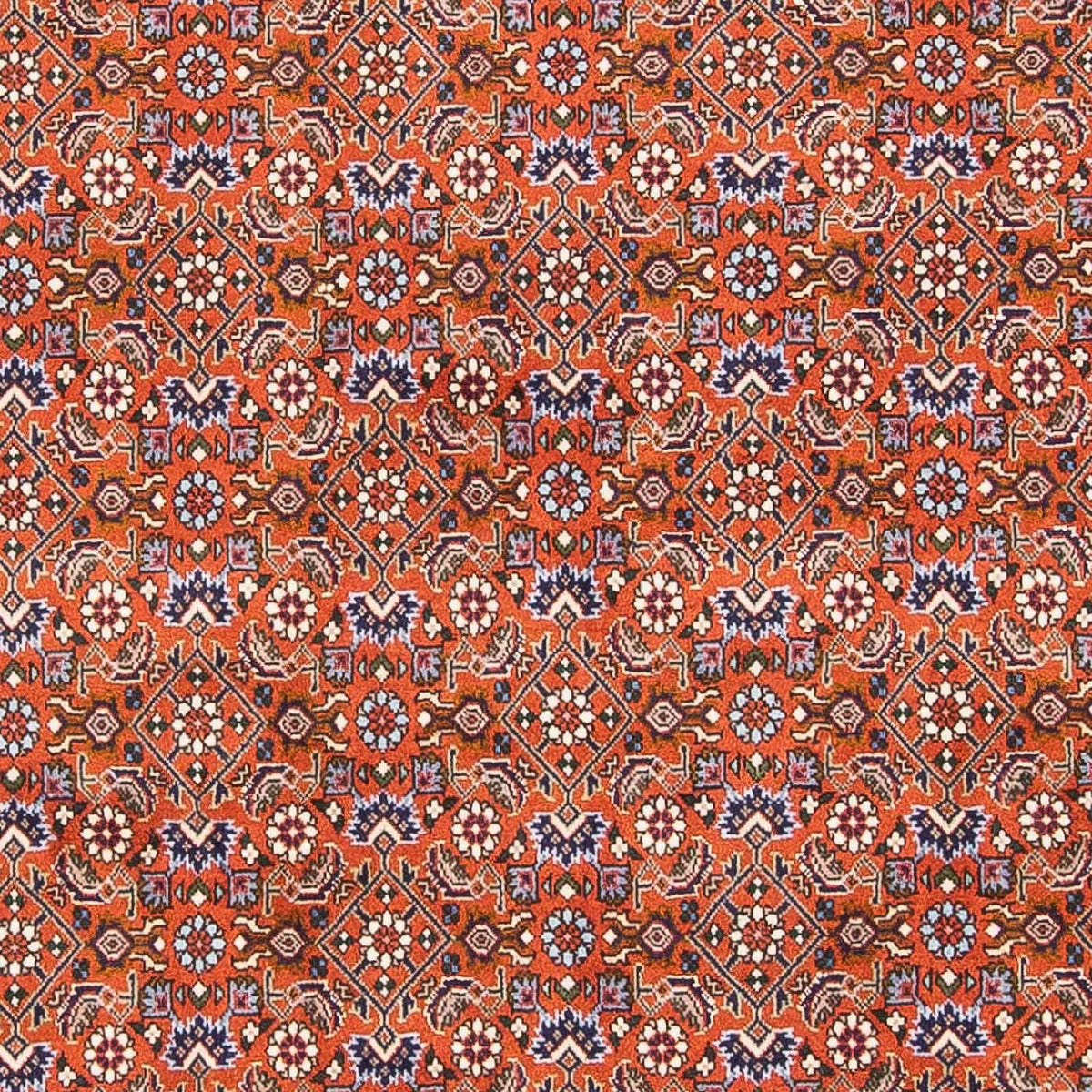 Persisk tæppe - Bijar - 160 x 110 cm - orange