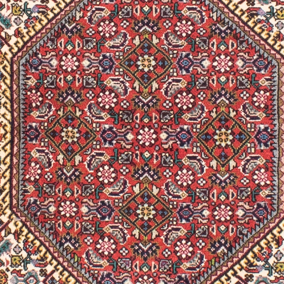 Persisk tæppe - Bijar - 170 x 110 cm - beige