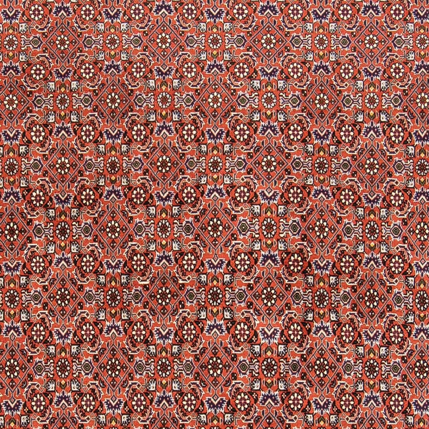 Persisk tæppe - Bijar - 230 x 168 cm - rust