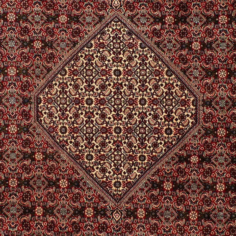 Persisk tæppe - Bijar - 309 x 197 cm - brun