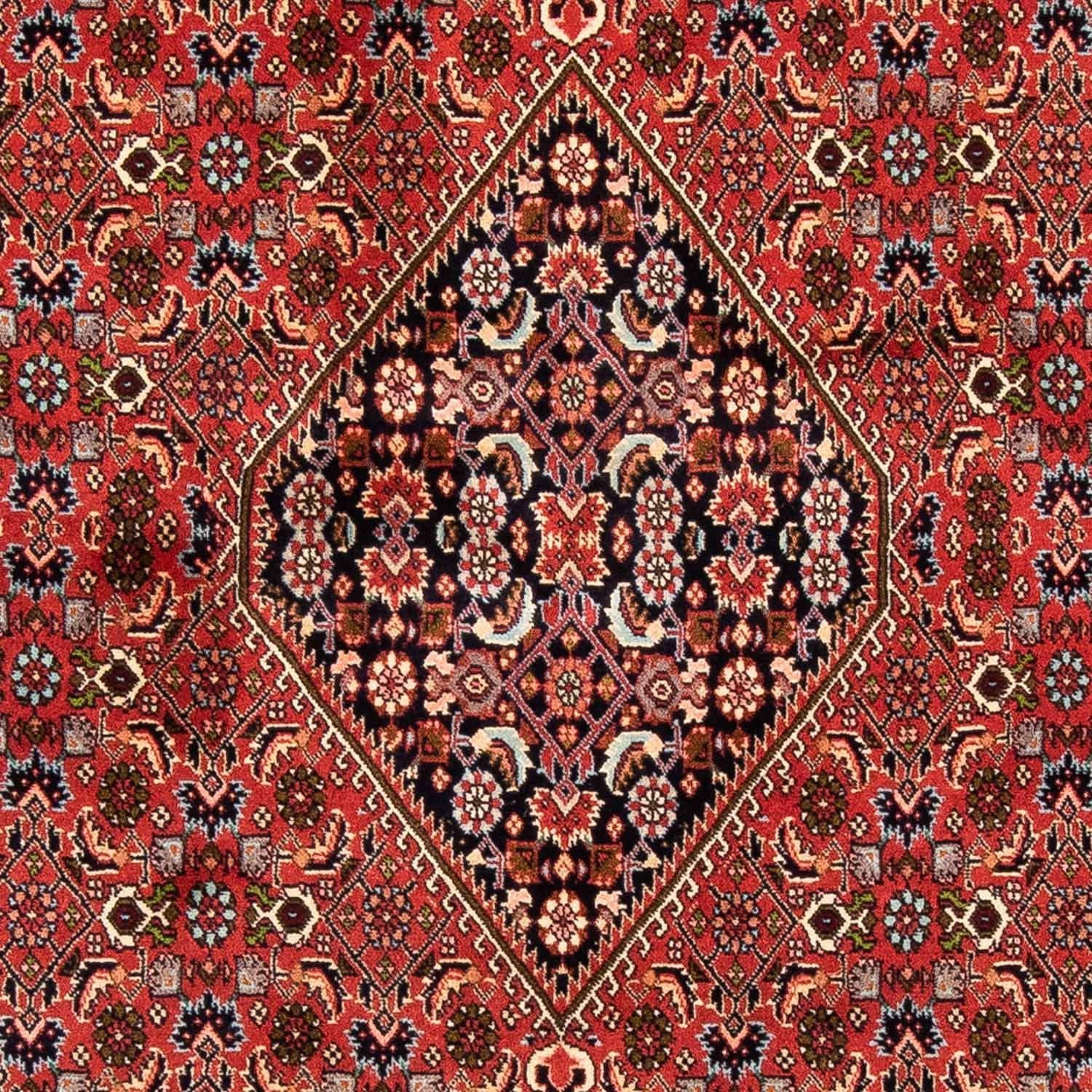 Persisk tæppe - Bijar - 247 x 169 cm - mørkerød