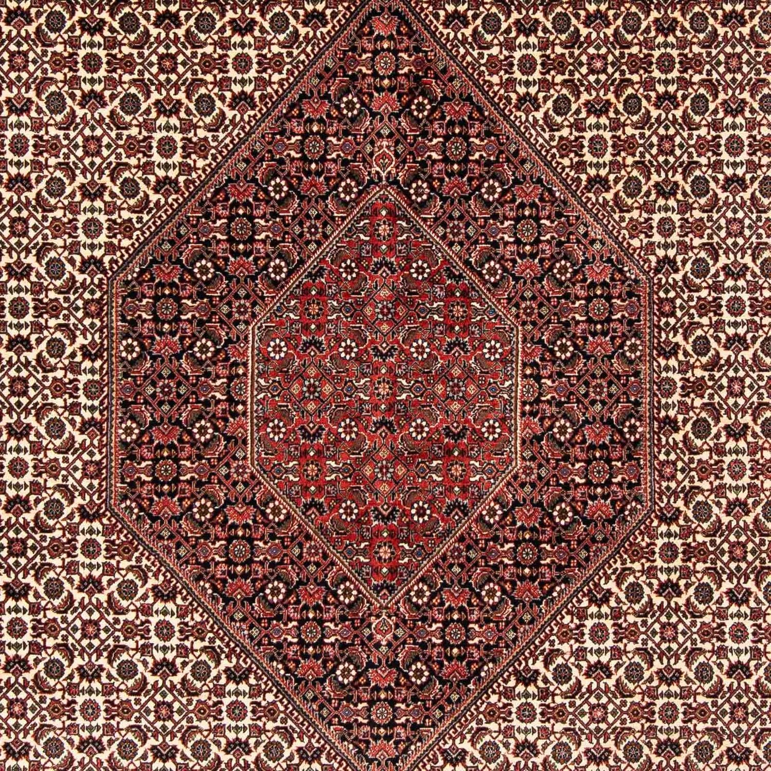 Persisk tæppe - Bijar - 254 x 203 cm - mørkerød