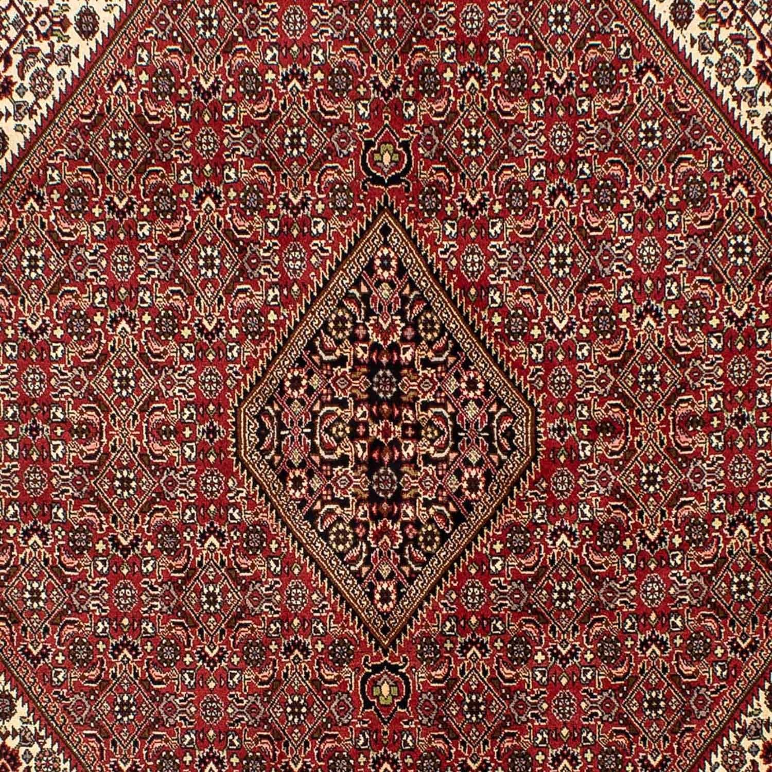 Persisk tæppe - Bijar - 242 x 171 cm - mørkerød
