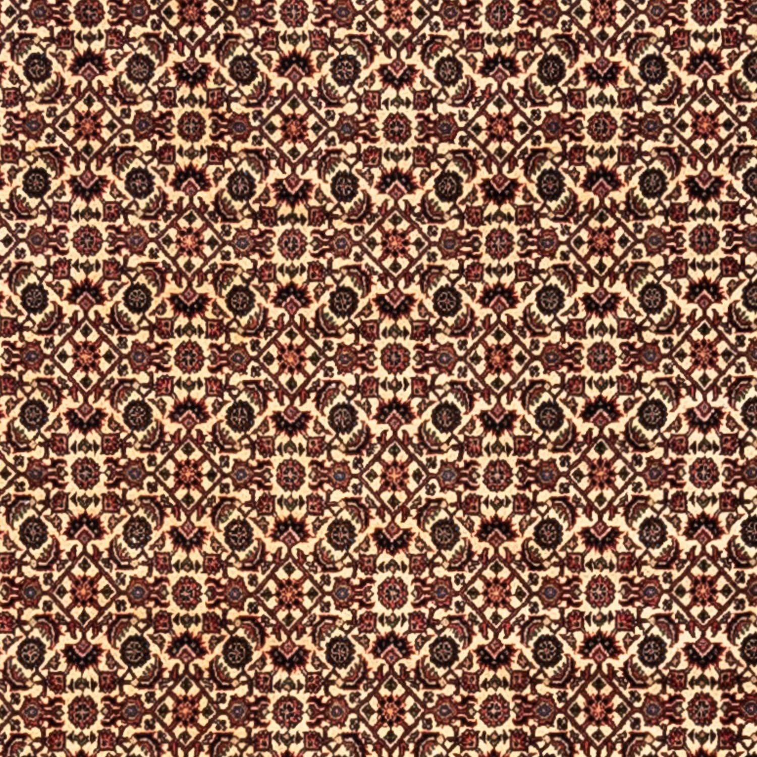 Persisk tæppe - Bijar - Royal - 302 x 208 cm - beige