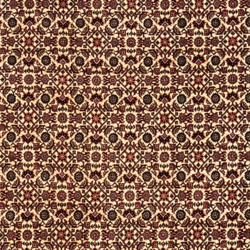 Persisk tæppe - Bijar - Royal - 302 x 208 cm - beige