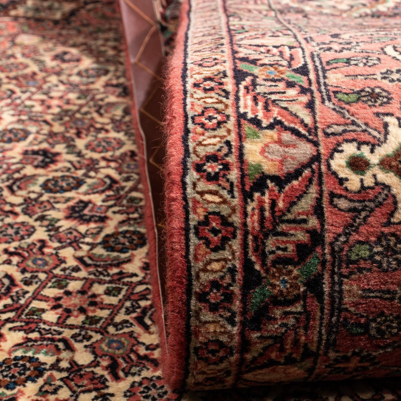 Persisk tæppe - Bijar - Royal - 302 x 208 cm - beige