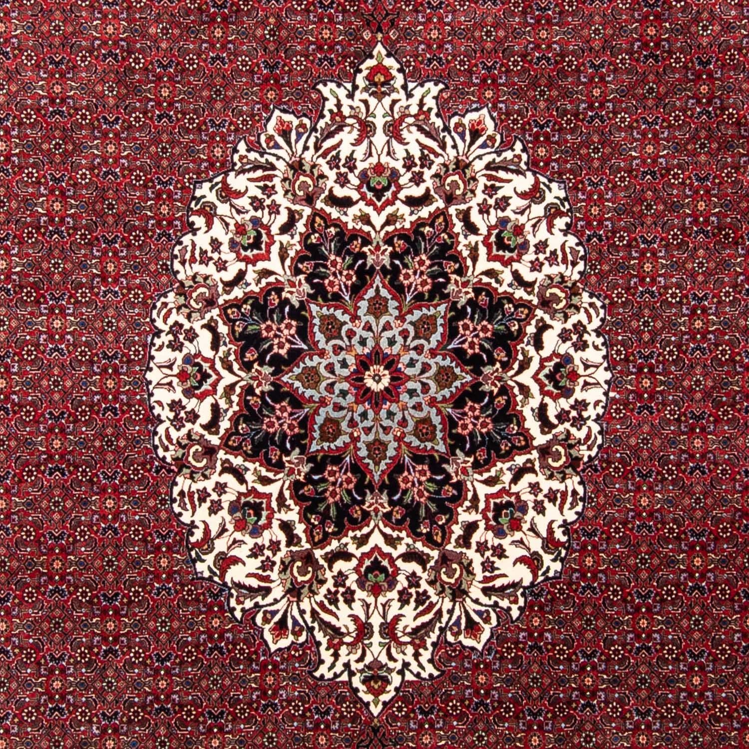 Persisk tæppe - Bijar - 343 x 260 cm - mørkerød
