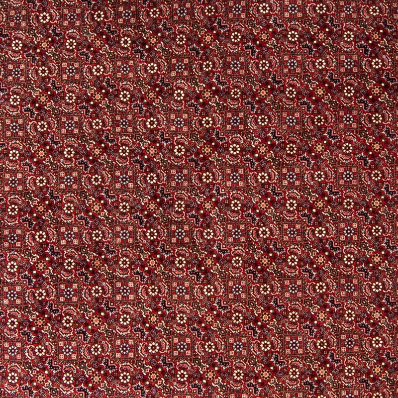 Persisk tæppe - Bijar rundt  - 250 x 250 cm - mørkerød