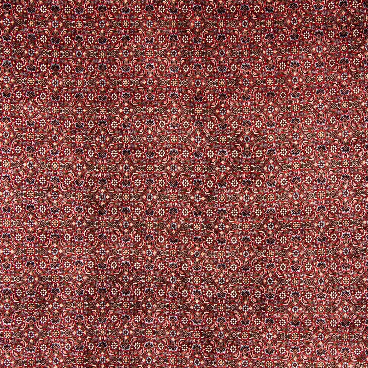 Persisk tæppe - Bijar - 398 x 299 cm - mørkerød