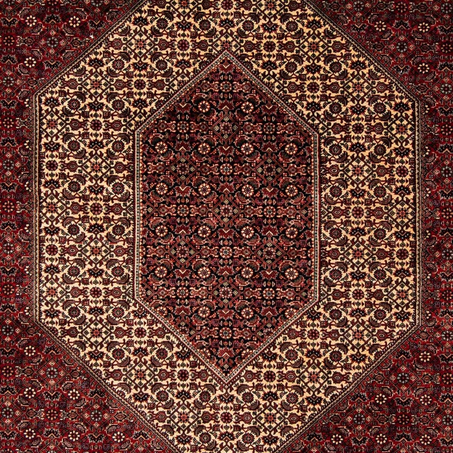 Persisk tæppe - Bijar - 238 x 196 cm - mørkerød