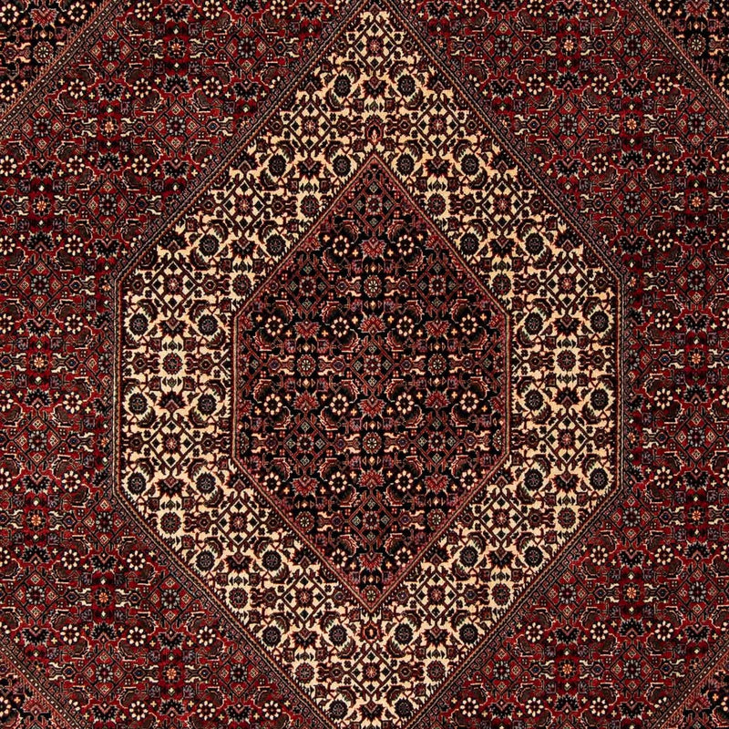 Persisk tæppe - Bijar - 249 x 200 cm - mørkerød