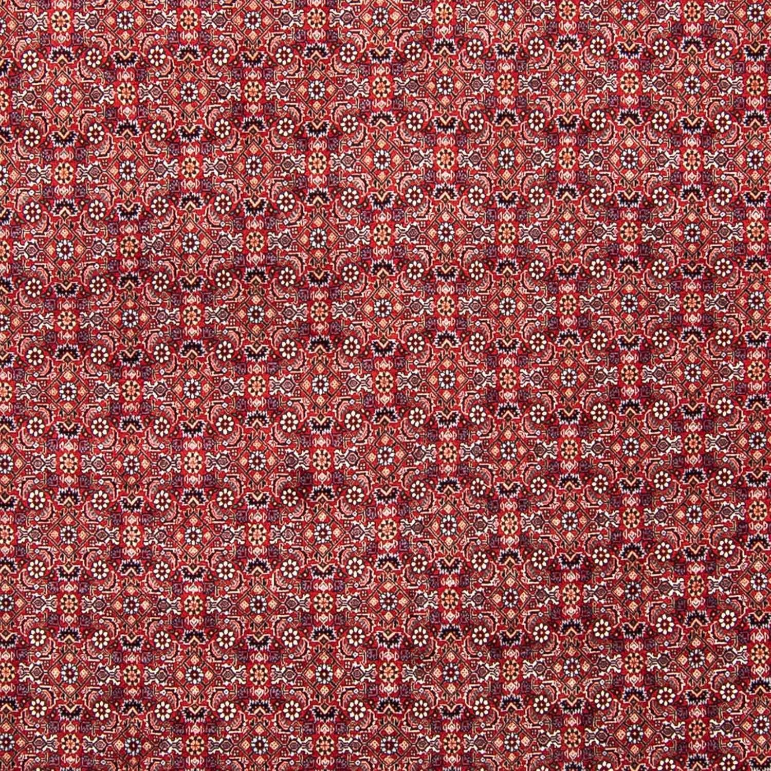 Persisk tæppe - Bijar - 347 x 248 cm - rød
