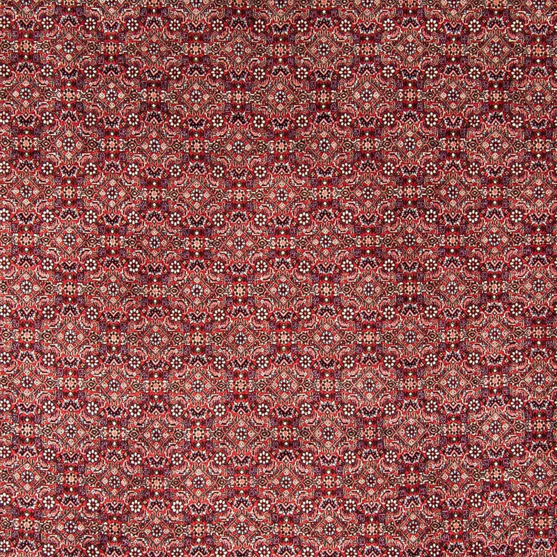 Persisk tæppe - Bijar - 350 x 246 cm - rød