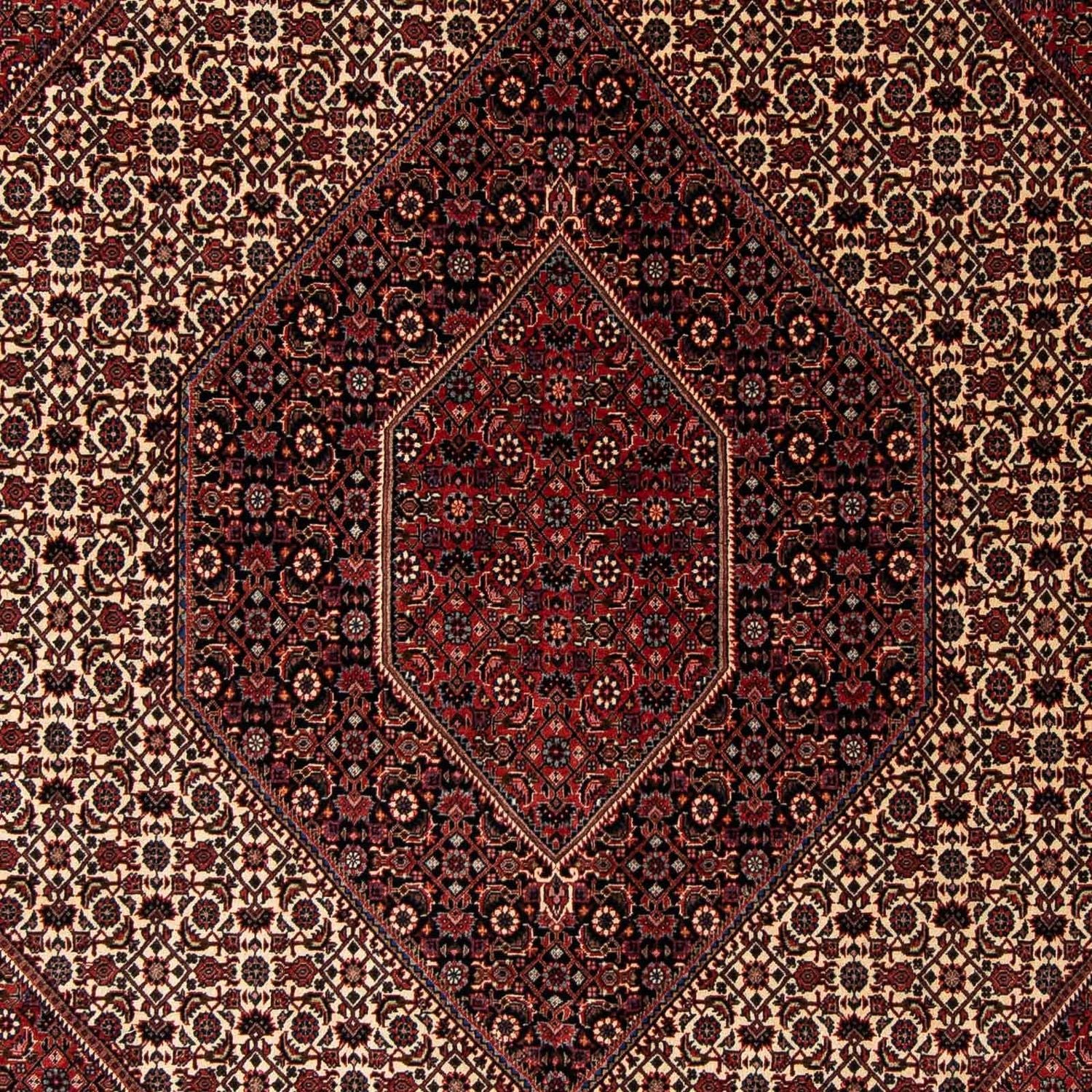 Persisk tæppe - Bijar - 245 x 202 cm - mørkerød