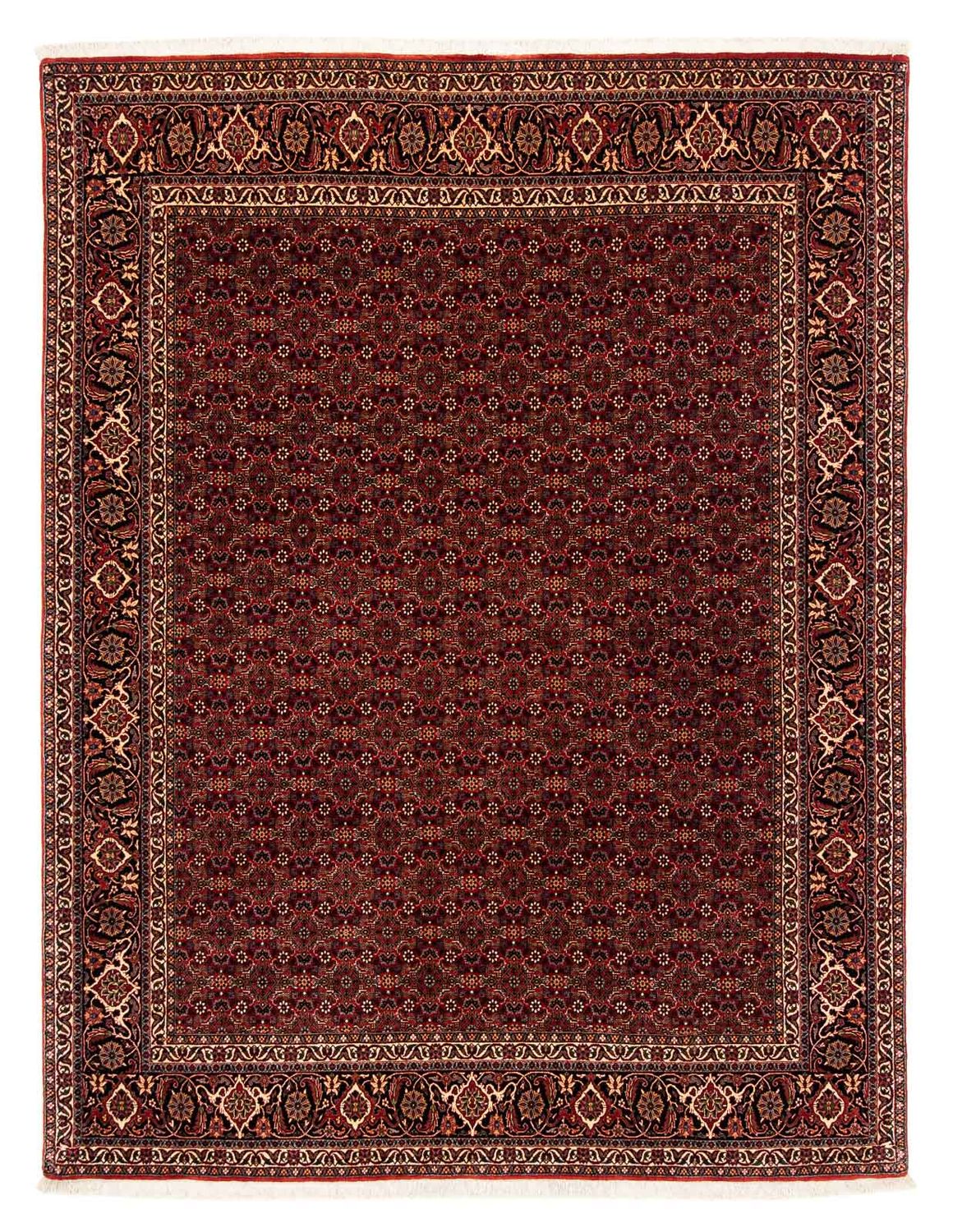 Persisk tæppe - Bijar - 256 x 202 cm - mørkerød