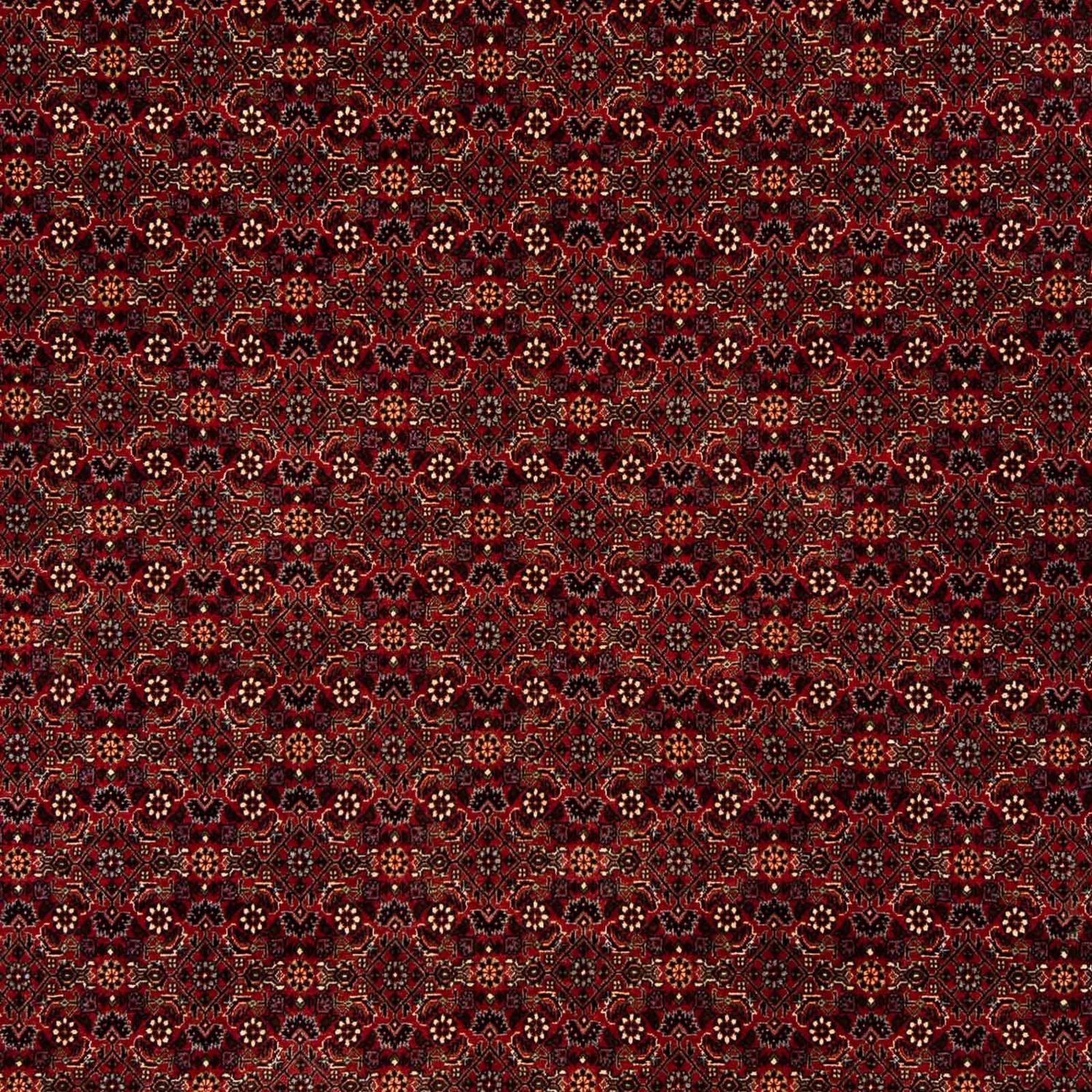 Persisk tæppe - Bijar - 256 x 202 cm - mørkerød