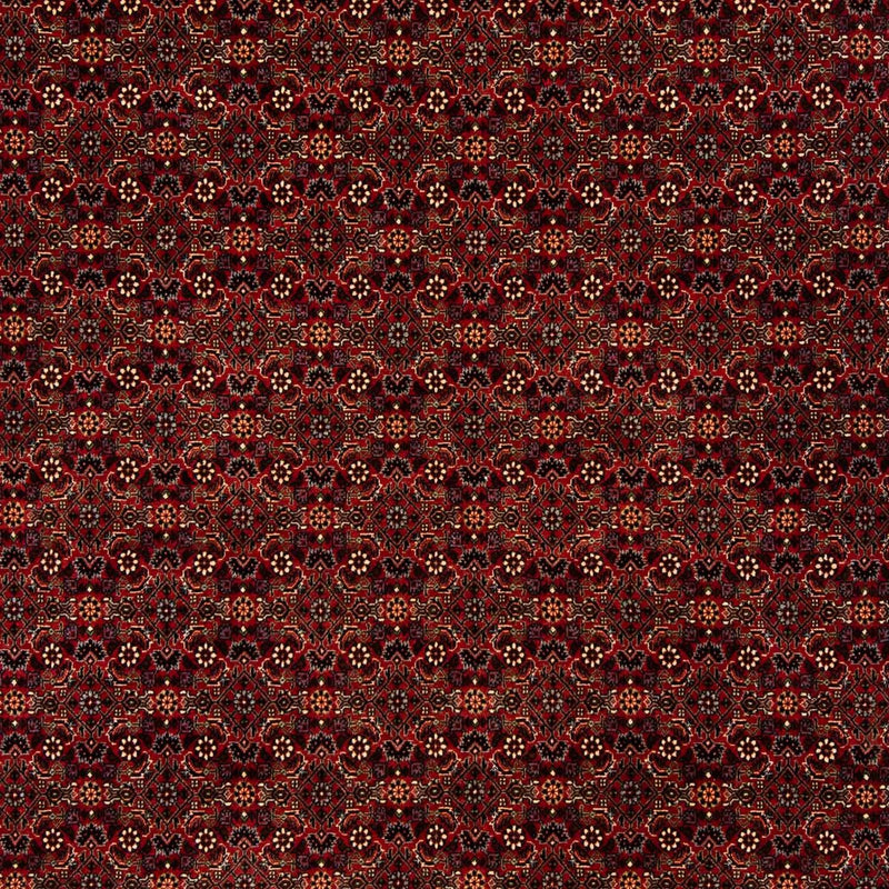 Persisk tæppe - Bijar - 256 x 202 cm - mørkerød