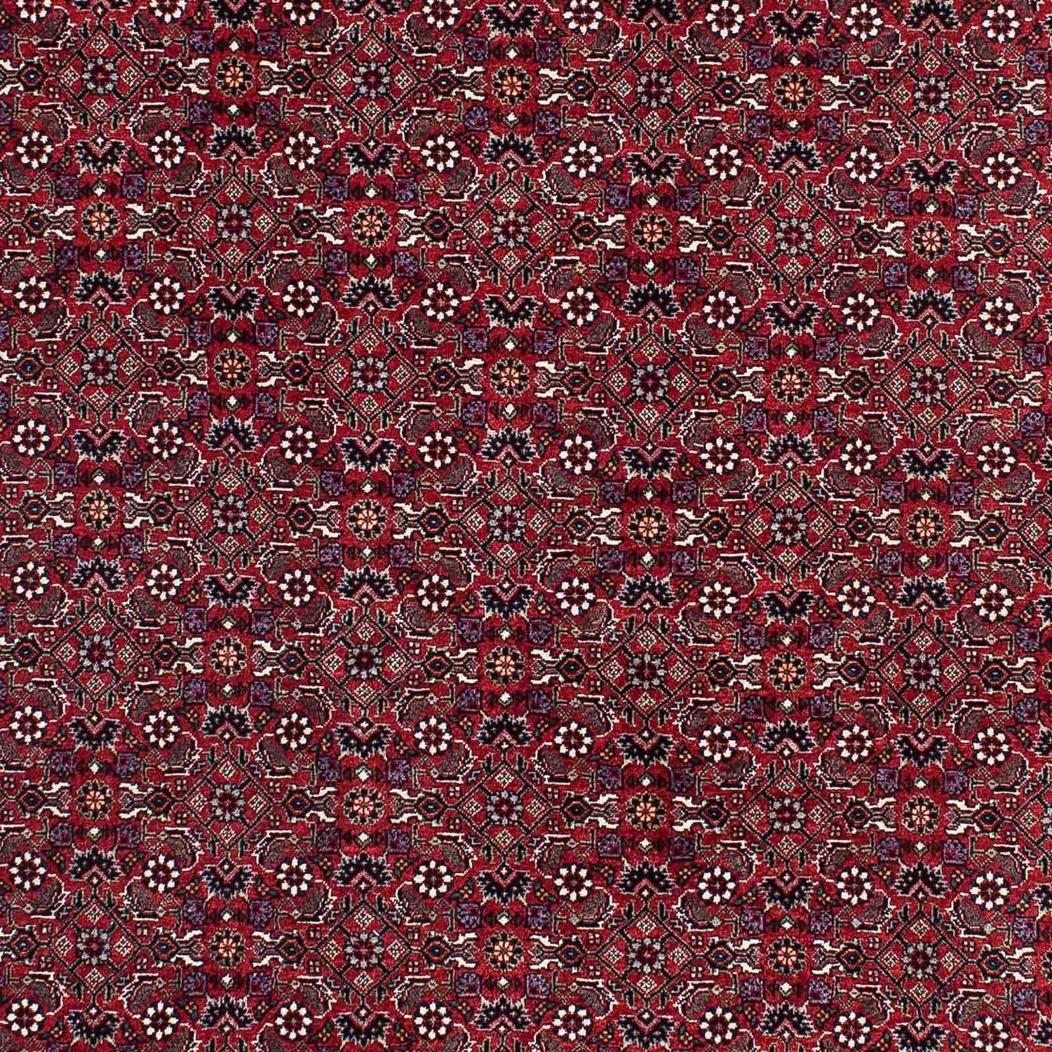 Persisk tæppe - Bijar - 221 x 143 cm - rød