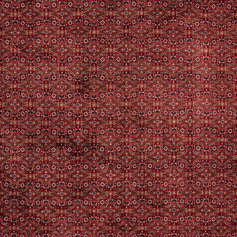 Persisk tæppe - Bijar - 392 x 299 cm - mørkerød