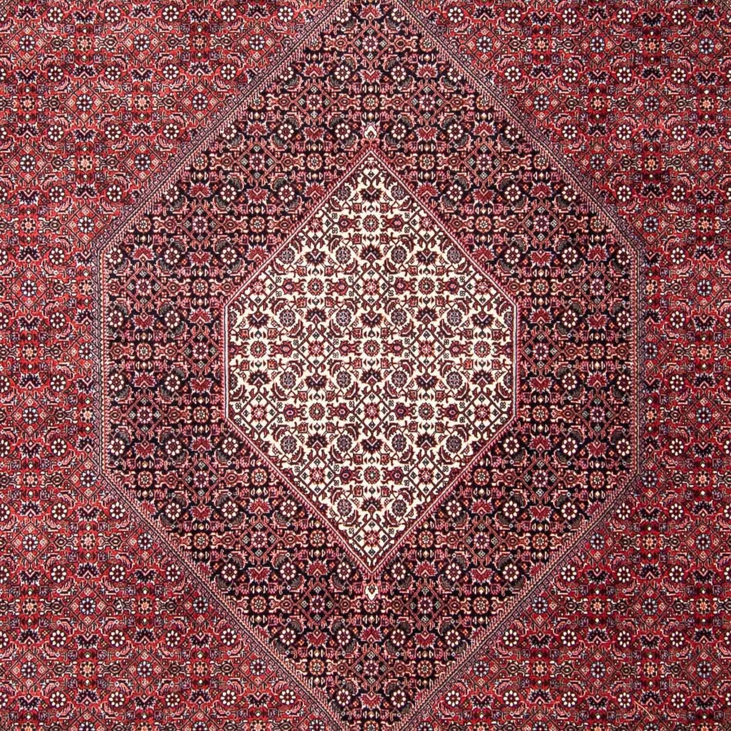 Persisk tæppe - Bijar - 302 x 253 cm - rød