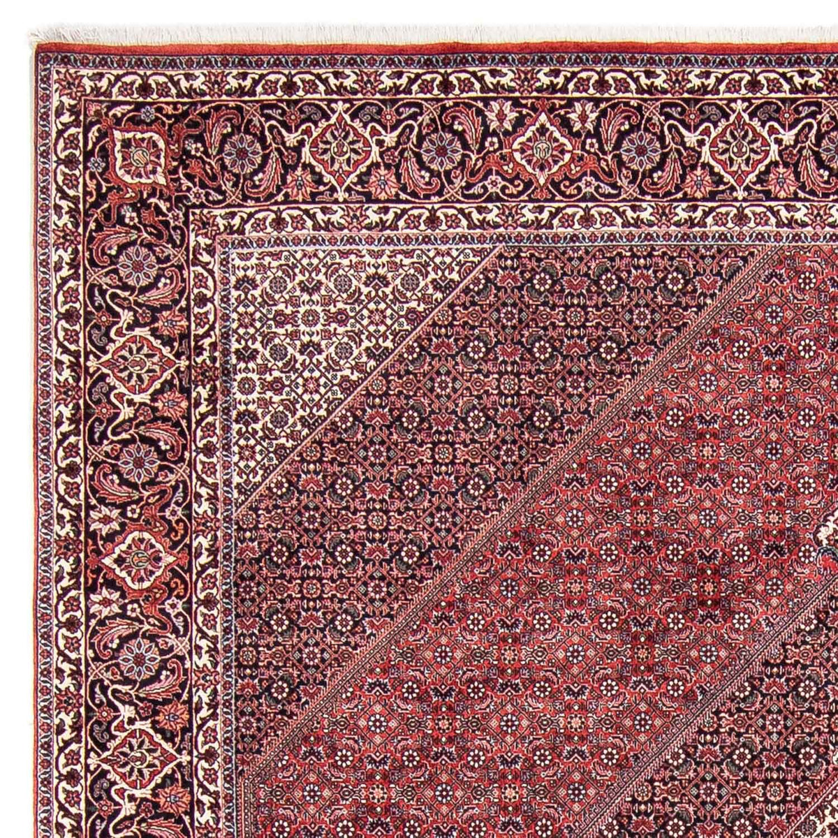 Bidjar Tæppe 253x302cm - Persisk tæppe
