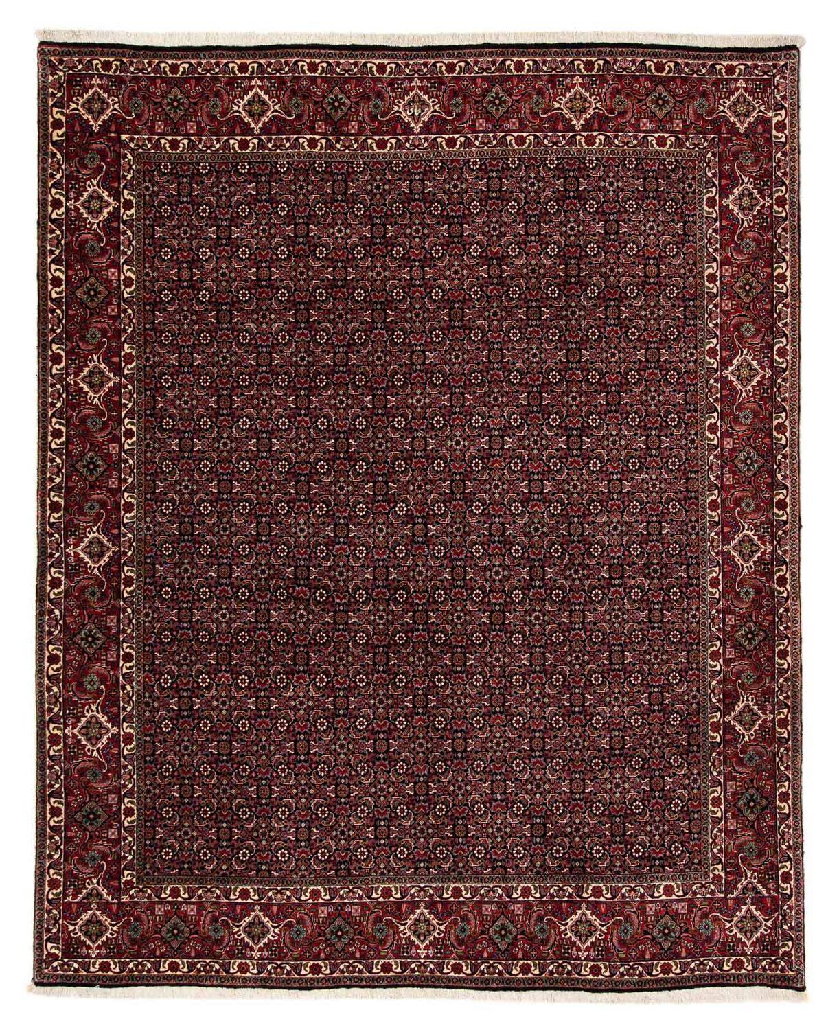 Persisk tæppe - Bijar - 248 x 198 cm - mørkerød