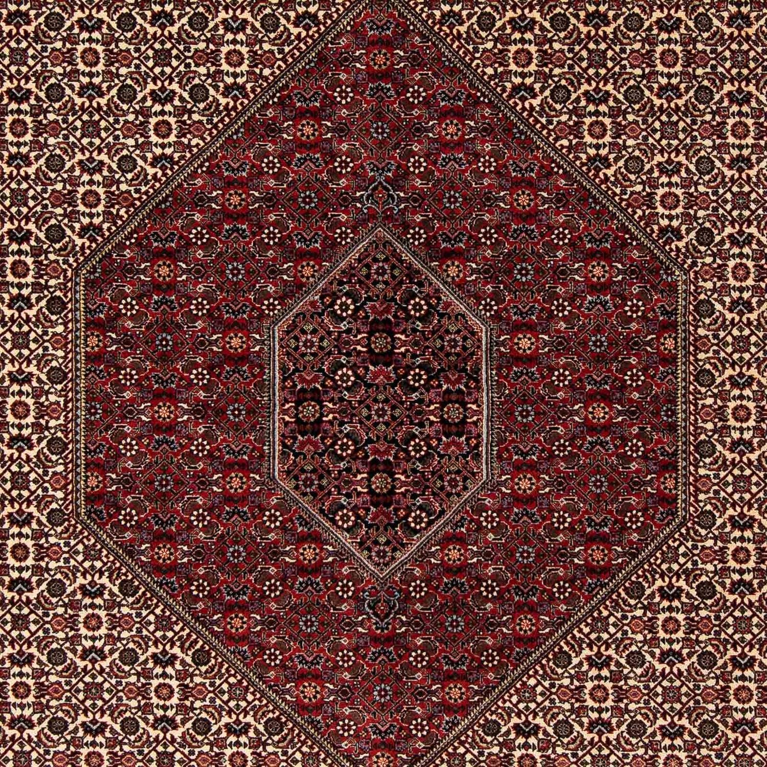 Persisk tæppe - Bijar - 262 x 205 cm - mørkerød