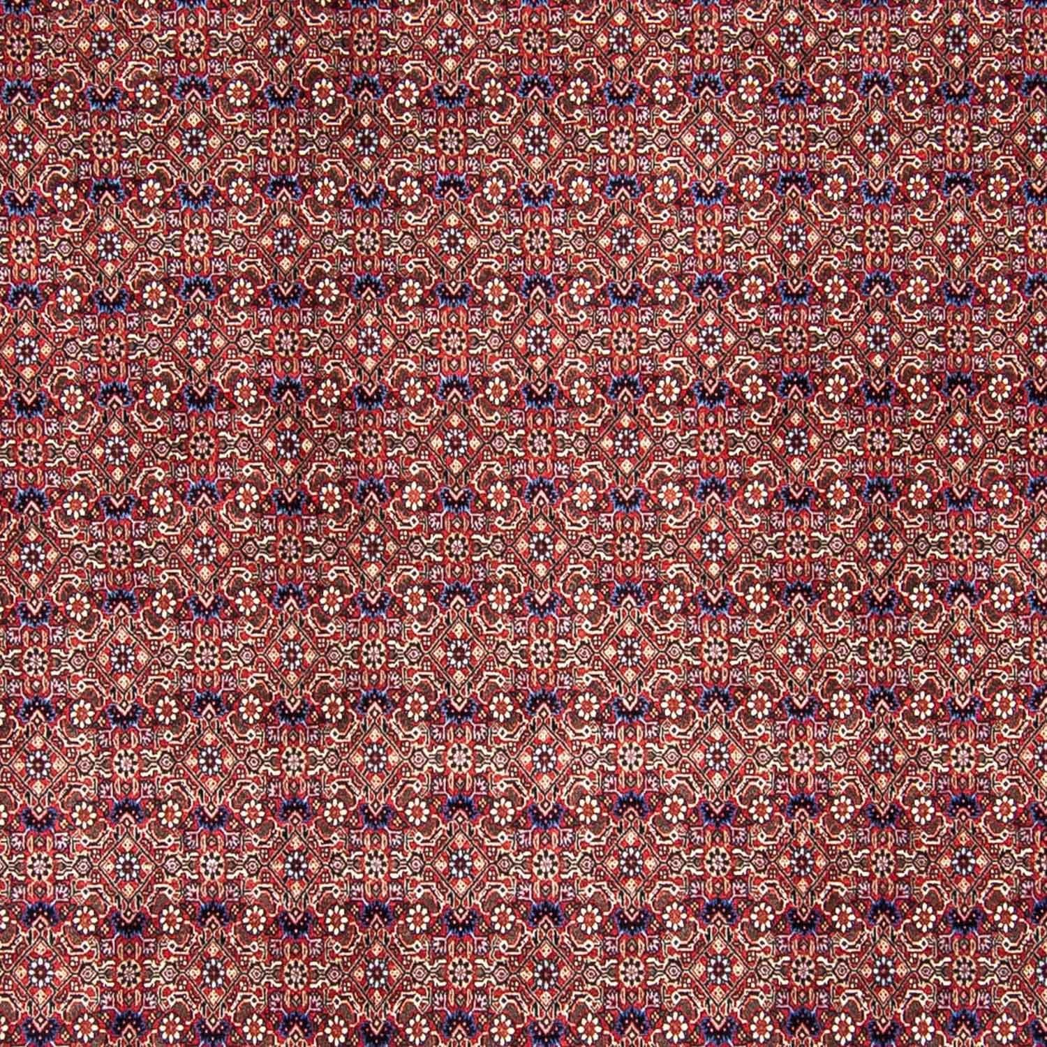 Persisk tæppe - Bijar - 292 x 250 cm - lysrød