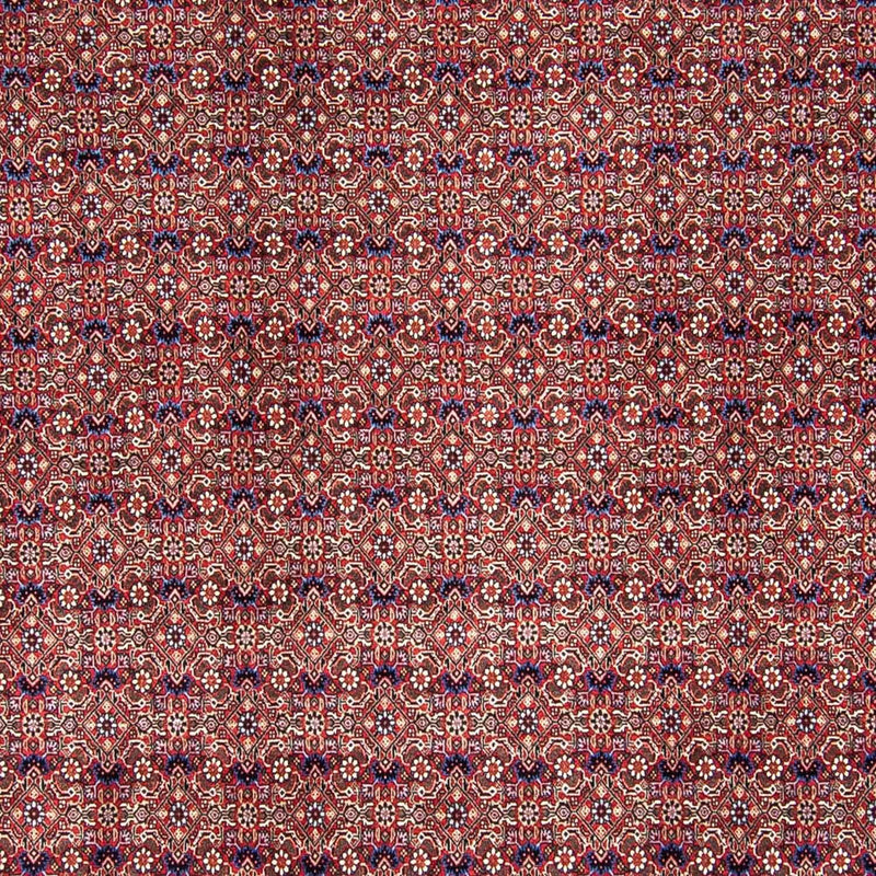 Persisk tæppe - Bijar - 292 x 250 cm - lysrød