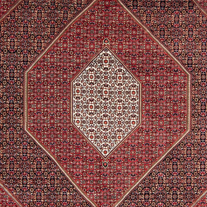 Persisk tæppe - Bijar - 350 x 252 cm - mørkerød