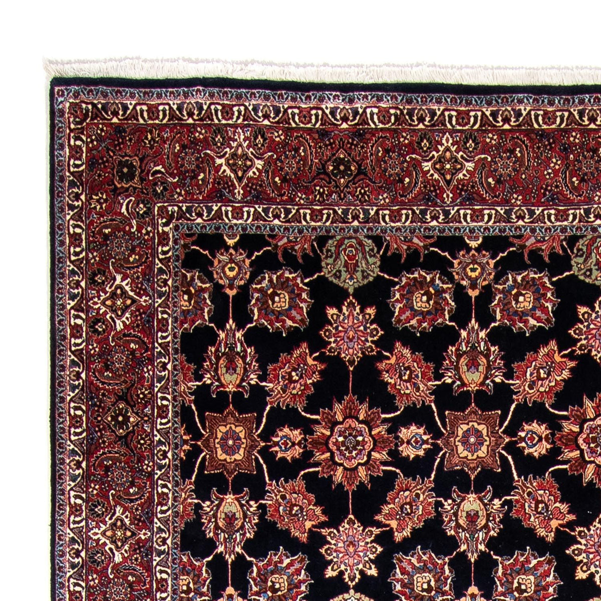 Persisk tæppe - Bijar - 350 x 255 cm - mørkeblå