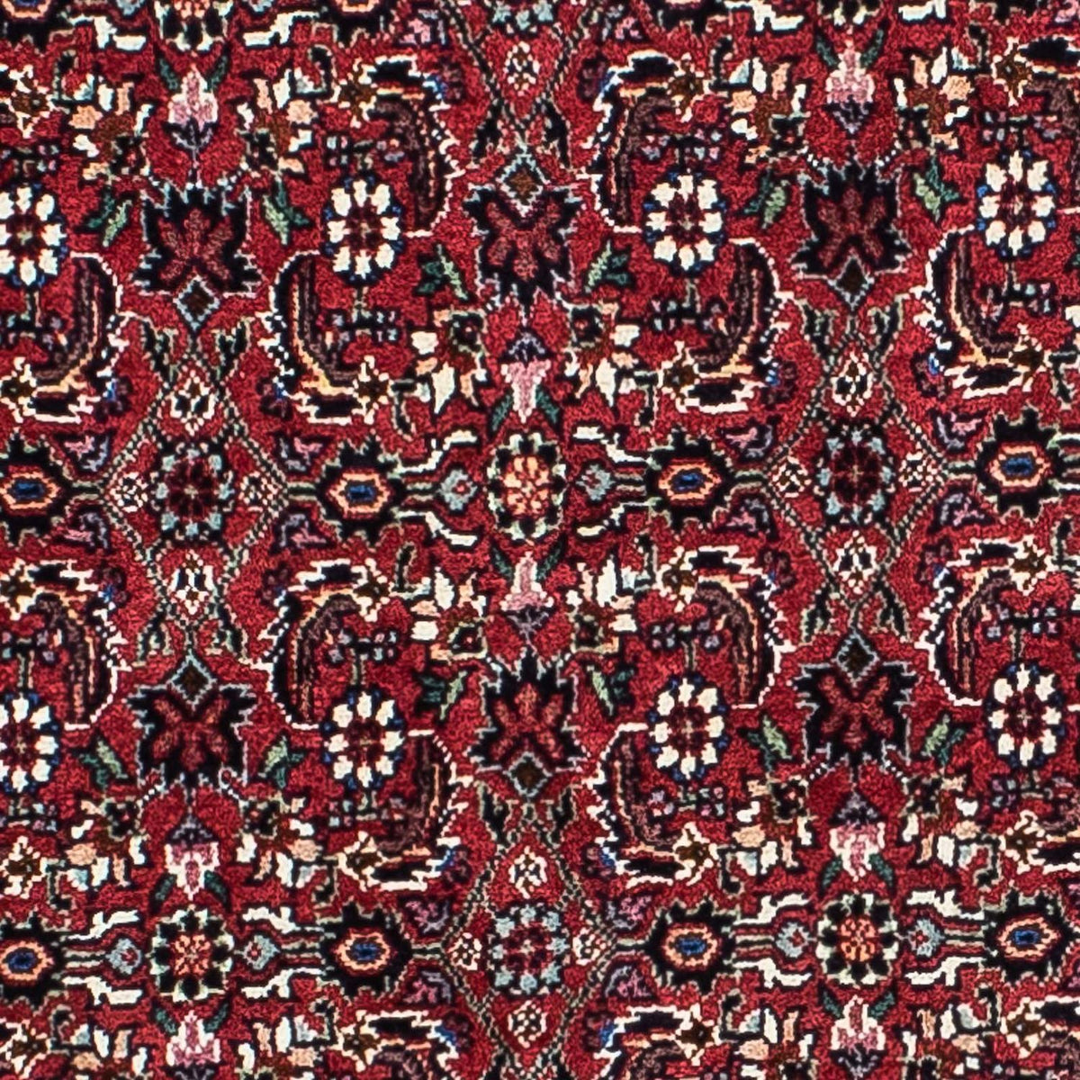 Persisk tæppe - Bijar - 208 x 134 cm - mørkerød