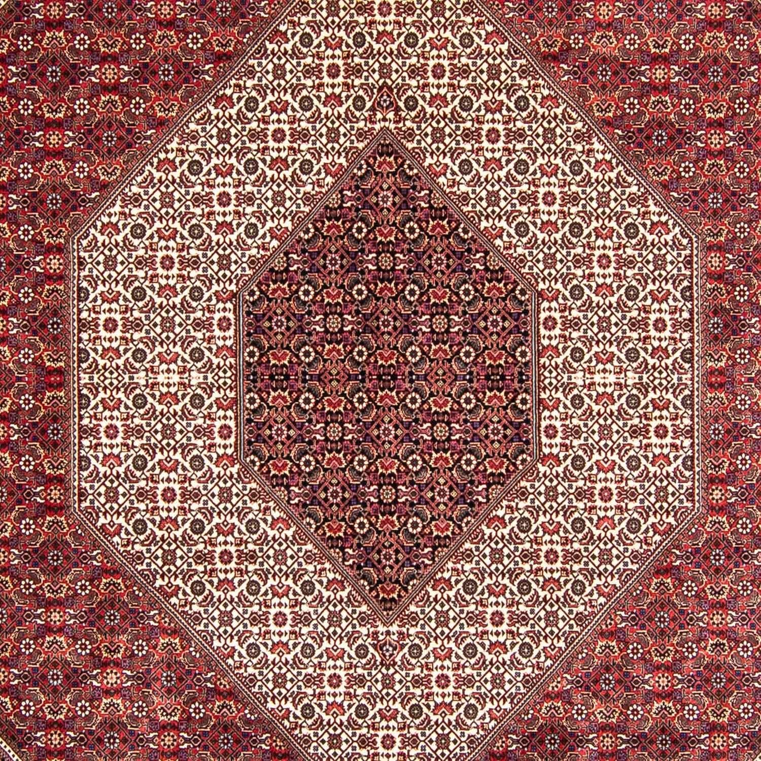 Persisk tæppe - Bijar - 360 x 250 cm - mørkerød