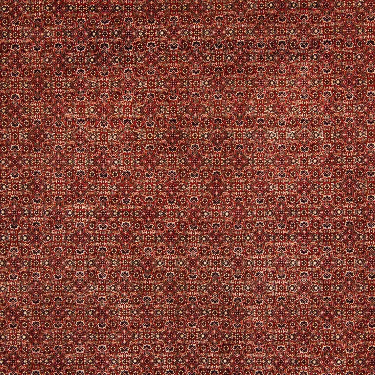Persisk tæppe - Bijar - 384 x 300 cm - mørkerød