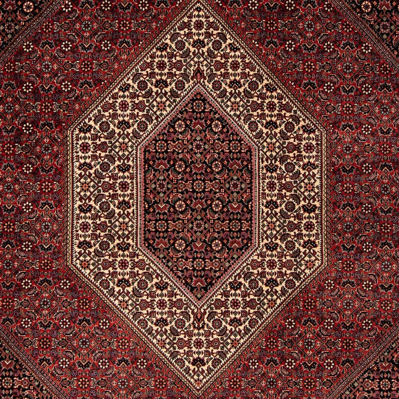 Persisk tæppe - Bijar - 251 x 202 cm - mørkerød