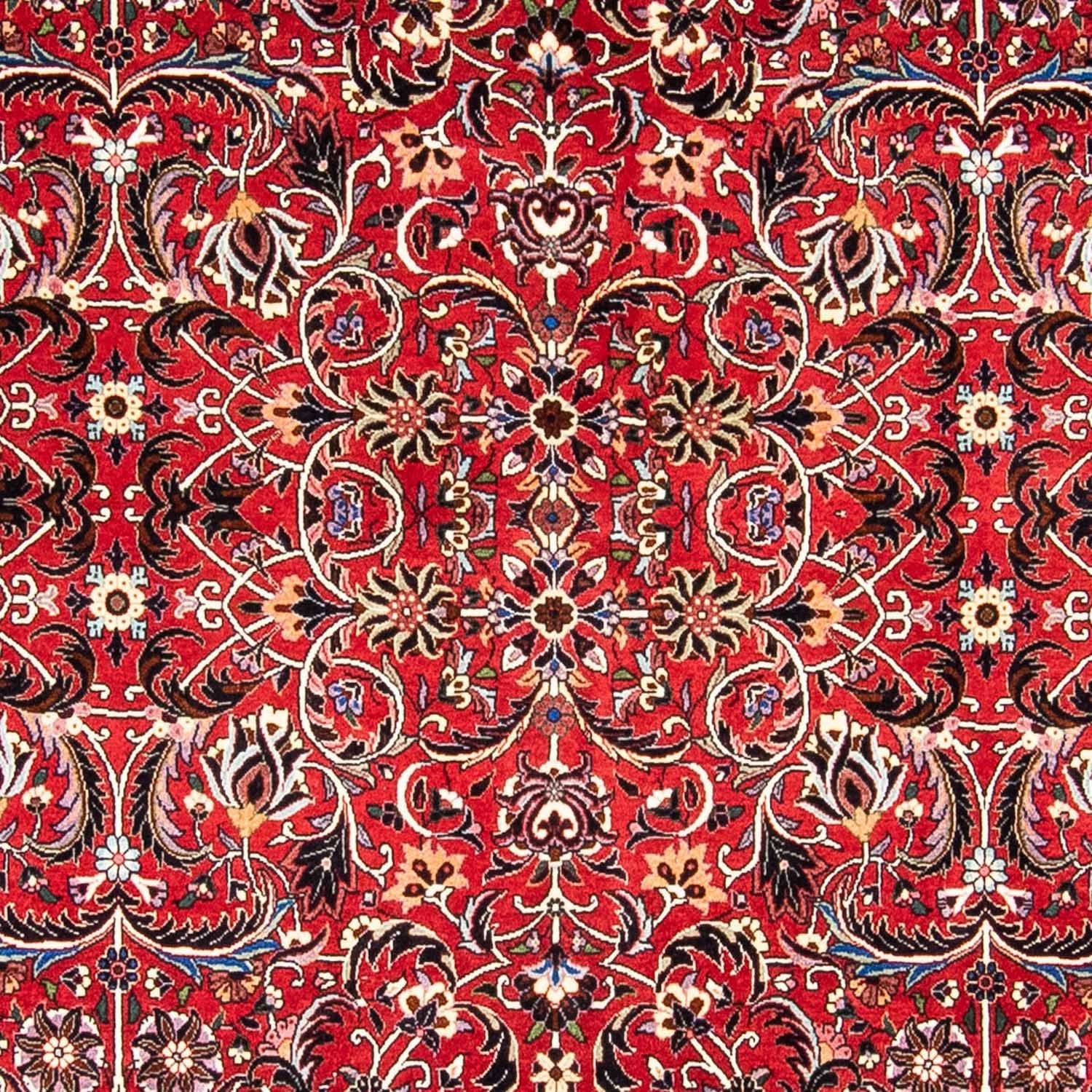 Persisk tæppe - Bijar - 242 x 175 cm - mørkerød