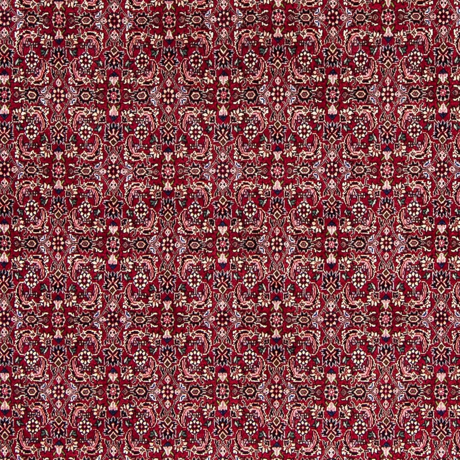 Persisk tæppe - Bijar - 245 x 174 cm - rød