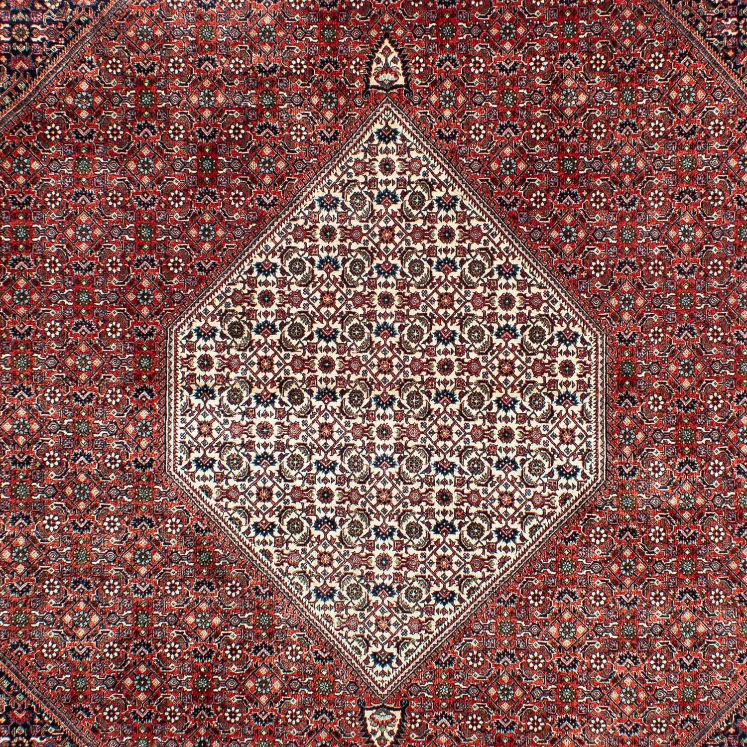 Persisk tæppe - Bijar - 301 x 208 cm - rust