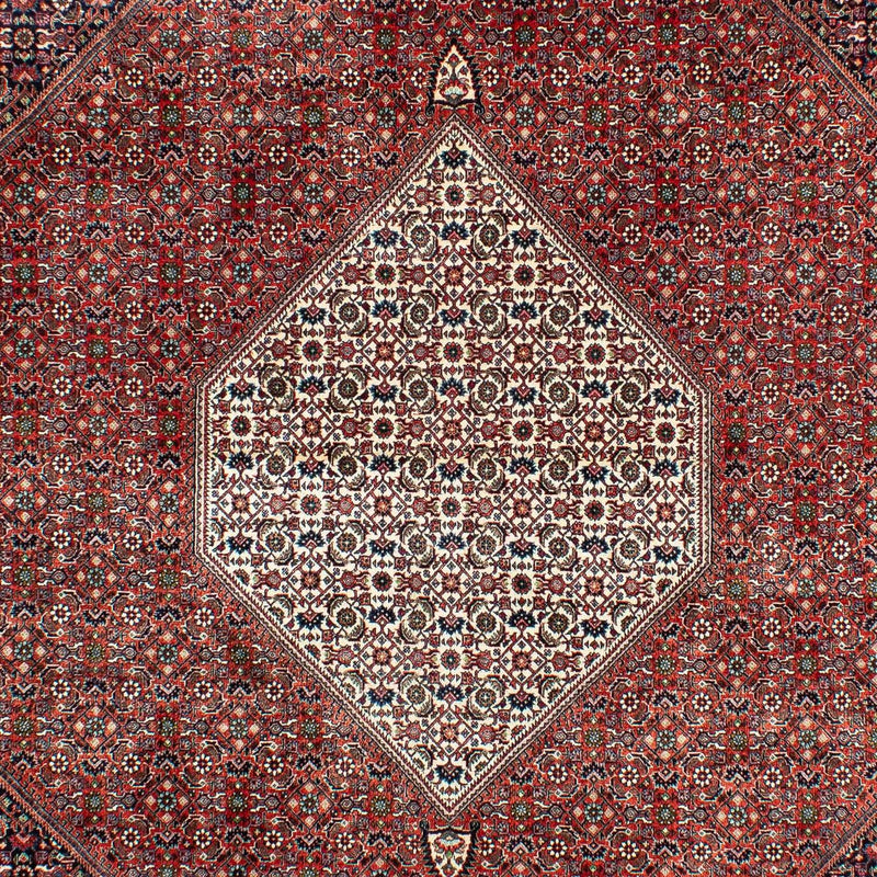 Persisk tæppe - Bijar - 301 x 208 cm - rust