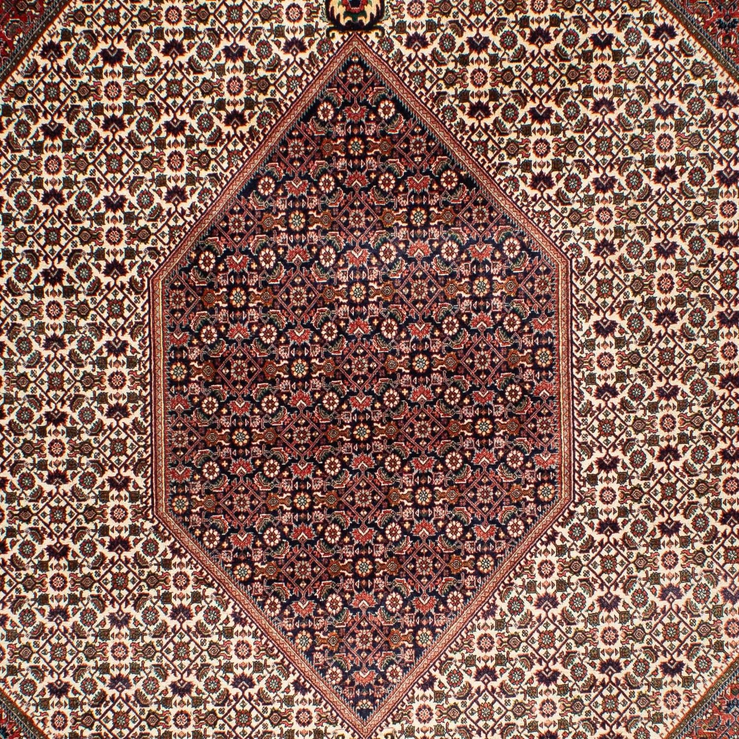 Persisk tæppe - Bijar - 311 x 208 cm - beige