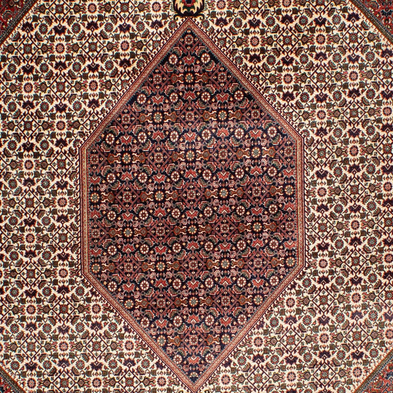 Persisk tæppe - Bijar - 311 x 208 cm - beige