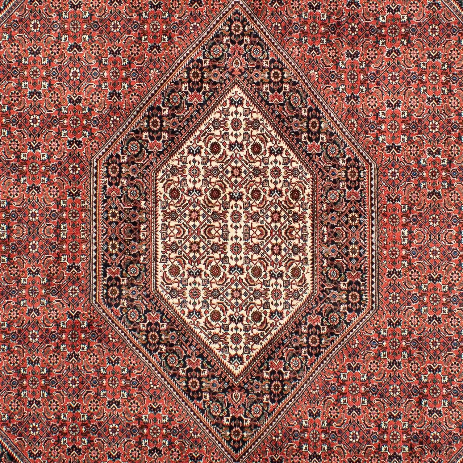 Persisk tæppe - Bijar - 300 x 203 cm - lysrød